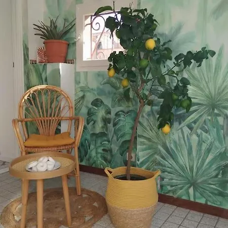 Apartment Studio Spacieux *